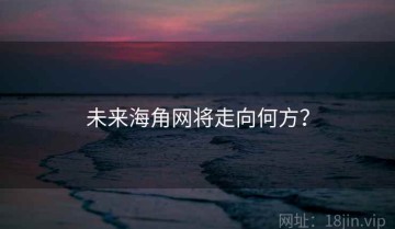 未来海角网将走向何方？