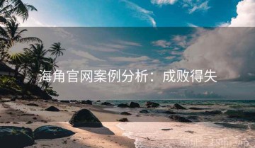 海角官网案例分析：成败得失