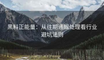 黑料正能量：从往期违规处理看行业避坑法则