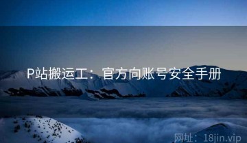 P站搬运工：官方向账号安全手册