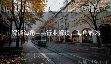 解锁海角——行业解读，海角鹡鸰
