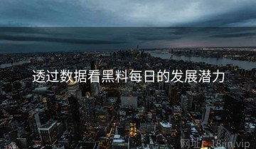 透过数据看黑料每日的发展潜力