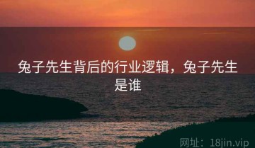 兔子先生背后的行业逻辑，兔子先生是谁