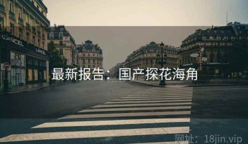 最新报告：国产探花海角