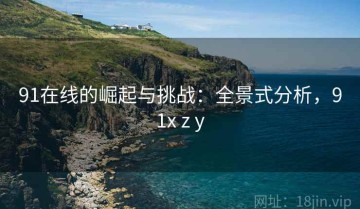 91在线的崛起与挑战：全景式分析，91x z y