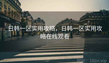 日韩一区实用攻略，日韩一区实用攻略在线观看