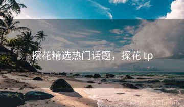 探花精选热门话题，探花 tp