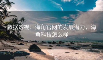 数据透视：海角官网的发展潜力，海角科技怎么样
