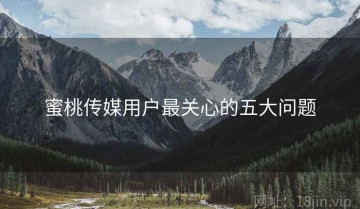 蜜桃传媒用户最关心的五大问题