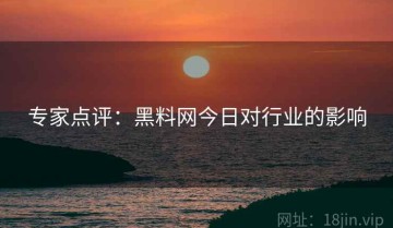 专家点评：黑料网今日对行业的影响