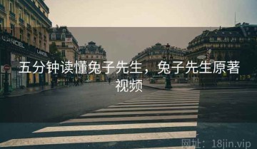 五分钟读懂兔子先生，兔子先生原著视频
