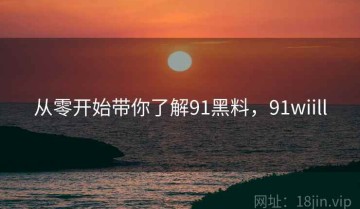 从零开始带你了解91黑料，91wiill
