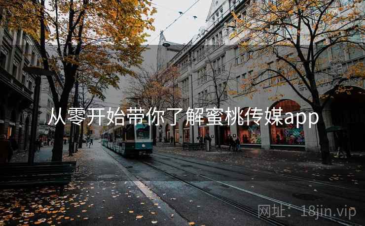 从零开始带你了解蜜桃传媒app