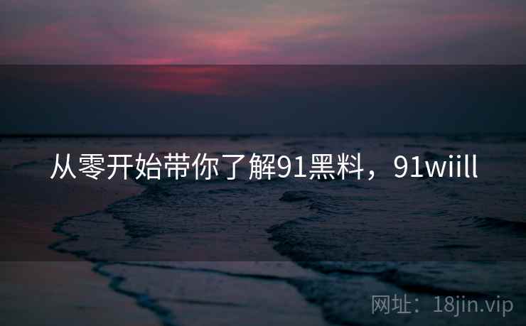 从零开始带你了解91黑料，91wiill