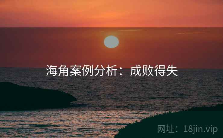 海角案例分析:成败得失 海角案例分析:成败得失