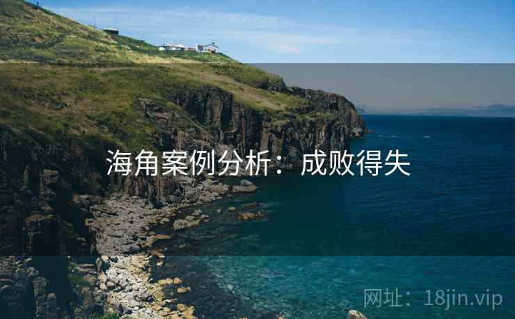 海角案例分析:成败得失 海角案例分析:成败得失