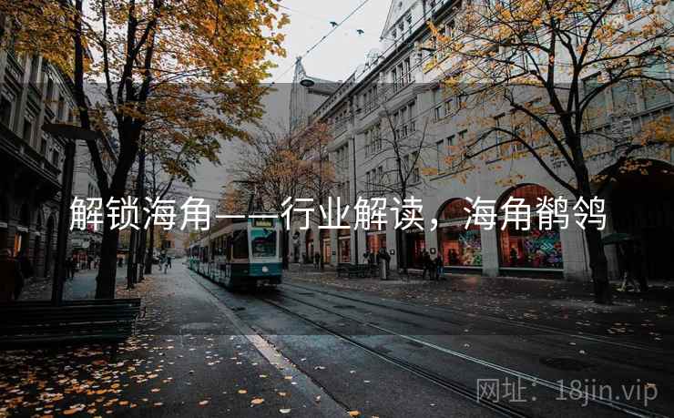 解锁海角——行业解读，海角鹡鸰
