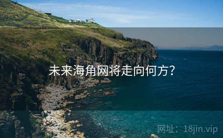 未来海角网将走向何方？