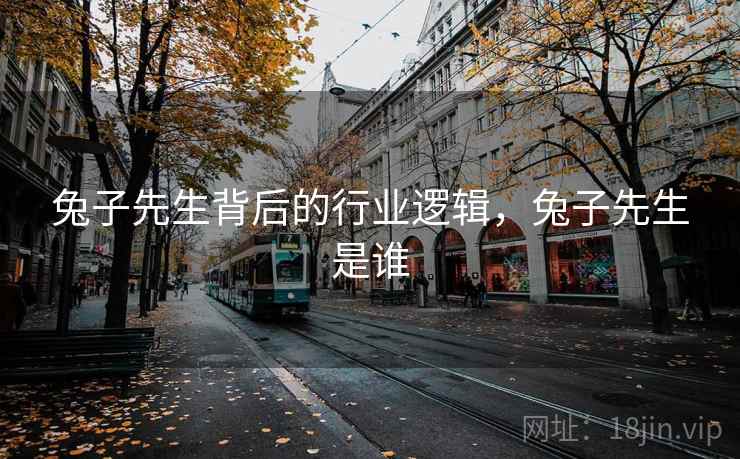 兔子先生背后的行业逻辑，兔子先生是谁